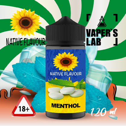 Фото купить жидкость для электронных сигарет native flavour menthol 120 ml