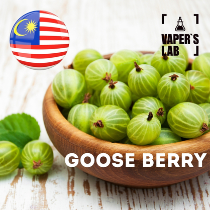 Фото на Ароматизаторы для вейпа Malaysia flavors Goose Berry