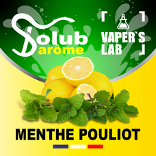 Аромки для вейпів Solub Arome "Menthe pouliot" (Лимон та м'ята)