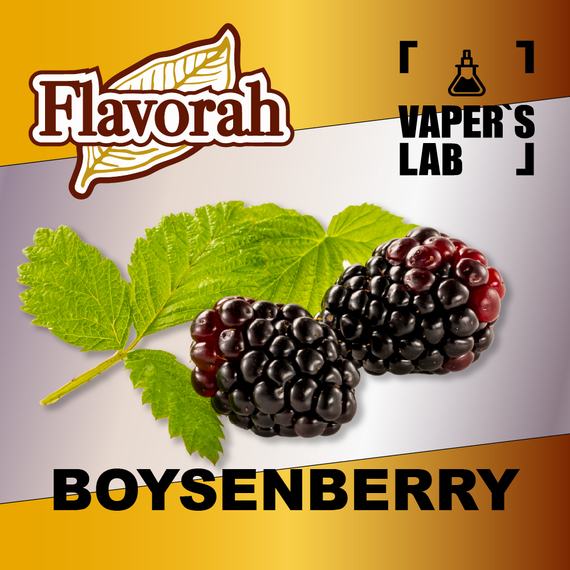 Отзывы на ароматизаторы Flavorah Boysenberry Бойзенова ягода