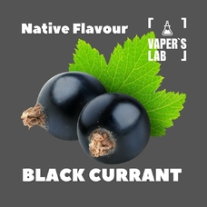 Ароматизатор для вейпа Native Flavour Black Currant 30мл