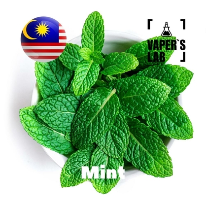 Фото на Ароматизаторы для вейпа Malaysia flavors Mint