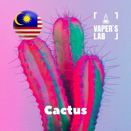 Фото на Ароматизаторы для вейпа Malaysia flavors Cactus