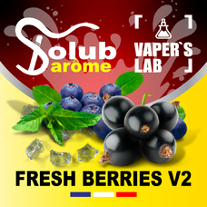 Ароматизатори для вейпа Solub Arome Fresh Berries v2 Чорниця смородина м'ята ментол