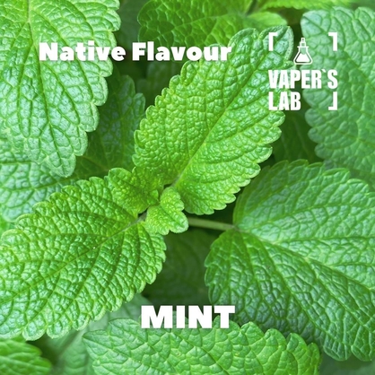 Фото, Відеоогляди на Натуральні ароматизатори для вейпів Native Flavour "Mint" 30мл 