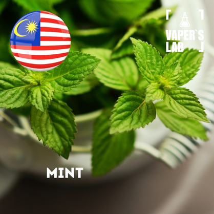 Фото на Ароматизаторы для вейпа Malaysia flavors Mint