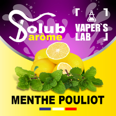 Лучшие пищевые ароматизаторы  Solub Arome Menthe pouliot Лимон и мята