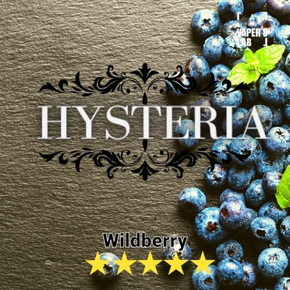 Фото жижа для вейпа купить hysteria wild berry 60 ml