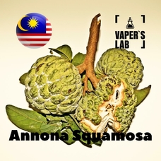  Malaysia flavors "Annona squamosa"