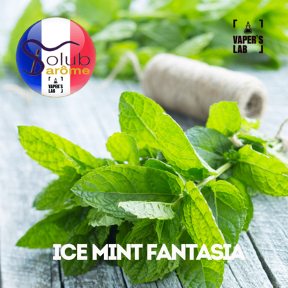 Фото, Відеоогляди на Ароматизатори для рідини вейпів Solub Arome "Ice mint fantasia" (М'ята ментол та кулер) 