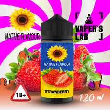 Жидкости для вейпа Native Flavour Strawberry 120