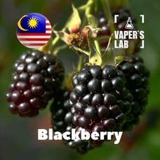 Malaysia flavors "Blackberry"