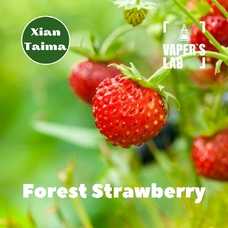 Ароматизаторы Xi'an Taima "Forest Strawberry" (Земляника)