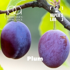 Ароматизатор для самозамеса TPA Plum Сочная слива