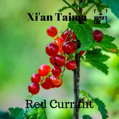 Фото, Видео, Купить ароматизатор Xi'an Taima "Red Currant" (Красная смородина) 