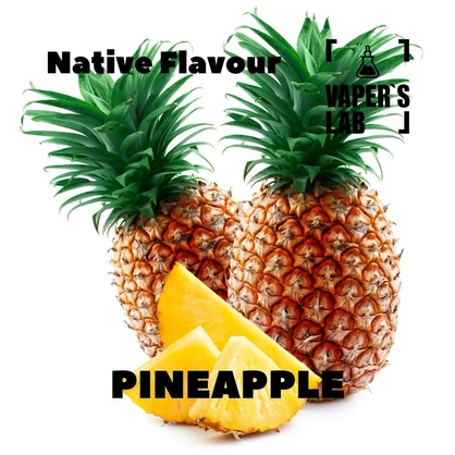 Фото, Відеоогляди на ароматизатор для самозамісу Native Flavour "Pineapple" 30мл 