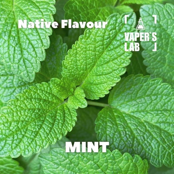 Отзывы на аромку Native Flavour Mint 30мл