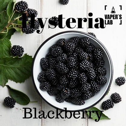 Фото, Відео на Жижи для вейпа Hysteria Blackberry 100 ml