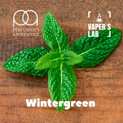 Фото, Відеоогляди на Набір для самозамісу TPA "Wintergreen" (Зимова прохолода) 