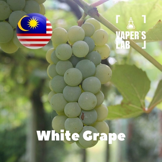 Відгуки на Ароматизатори для вейпа Malaysia flavors White Grape