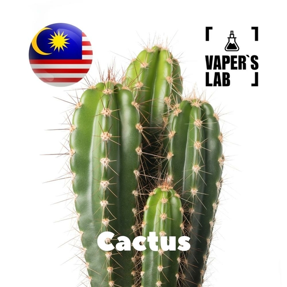 Отзывы на аромку Malaysia flavors Cactus