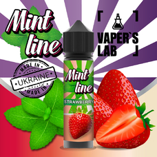 Рідини для електронних сигарет Mint Strawberry 60 ml