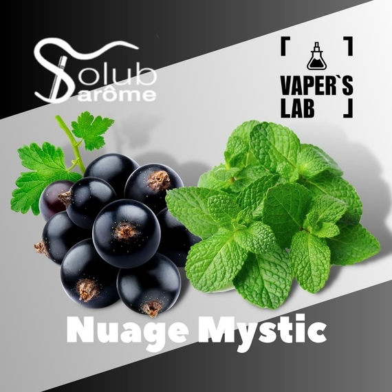 Отзывы на Лучшие вкусы для самозамеса Solub Arome "Nuage Mystic" (Смородина с мятой) 