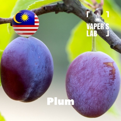 Фото на Ароматизатор для вейпа Malaysia flavors Plum