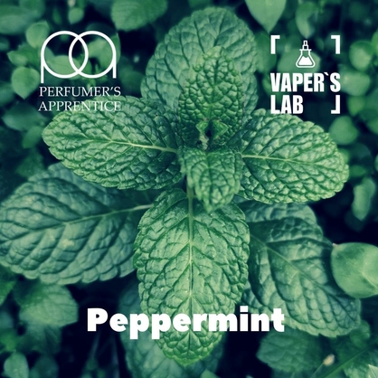 Фото, Відеоогляди на Натуральні ароматизатори для вейпа TPA "Peppermint" (Насичена м'ята) 