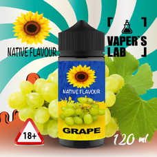 Жидкости для вейпа Native Flavour Grape 120