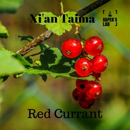 Фото, Видео, Купить ароматизатор Xi'an Taima "Red Currant" (Красная смородина) 