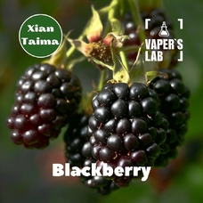  Xi'an Taima "Blackberry" (Ежевика)