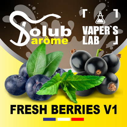 Фото, Відеоогляди на Ароматизатор для жижи Solub Arome "Fresh Berries v1" (Чорниця смородина м'ята ментол) 