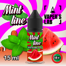 Mint Line Salt Watermelon 15 мл