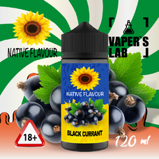 Рідина для електронних сигарет Native Flavour Black Currant 120 ml