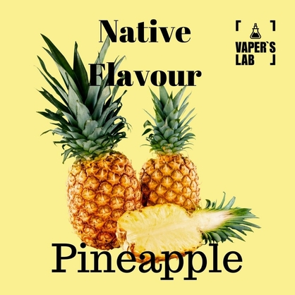 Фото жижа для вейпа до 120 грн native flavour pineapple 120 ml