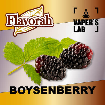 Фото на аромку Flavorah Boysenberry Бойзенова ягода