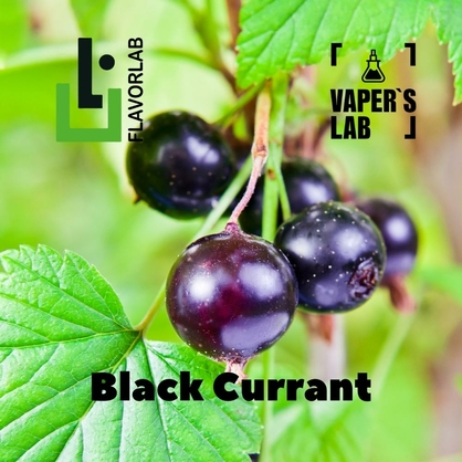 Фото, Відеоогляди на Аромки для вейпа Flavor Lab Black Currant 10 мл