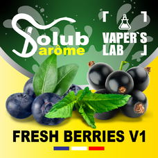 Компоненти для самозамішування Solub Arome "Fresh Berries v1" (Чорниця смородина м'ята ментол)