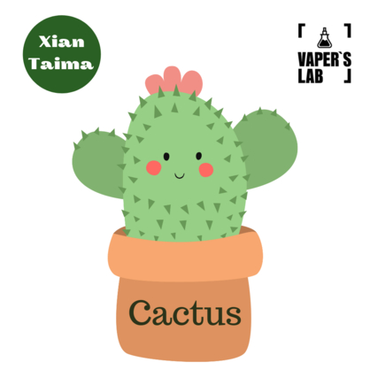 Фото, Відеоогляди на Арома для самозамісу Xi'an Taima "Cactus" (Кактус) 