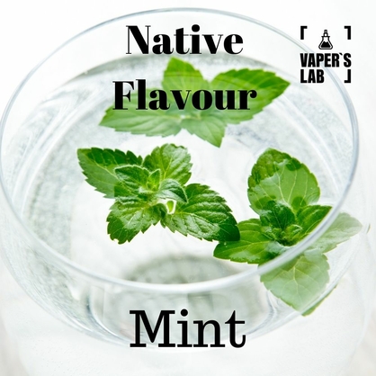 Фото жижка native flavour mint 120 ml