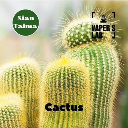 Фото, Видео, Аромки для самозамеса Xi'an Taima "Cactus" (Кактус) 