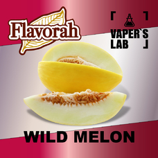Flavorah Wild Melon Дика диня