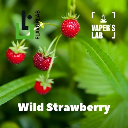 Фото на Аромку для вейпа Flavor Lab Wild Strawberry 10 мл