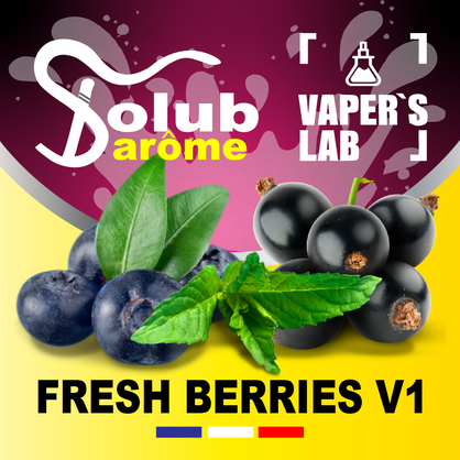 Фото, Відеоогляди на Ароматизатор для жижи Solub Arome "Fresh Berries v1" (Чорниця смородина м'ята ментол) 