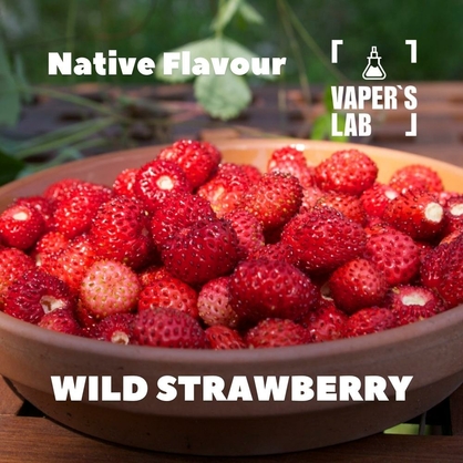 Фото для Аромки Native Flavour Wild Strawberry 30мл