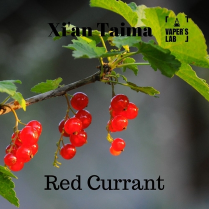 Фото, Видео, Купить ароматизатор Xi'an Taima "Red Currant" (Красная смородина) 