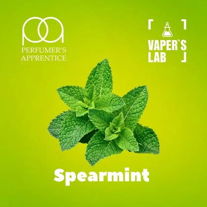 Фото, Видео, Ароматизаторы для жидкости вейпов TPA "Spearmint" (Мята) 