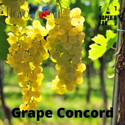 Фото на Ароматизаторы для вейпа FlavourArt Grape White Белый виноград