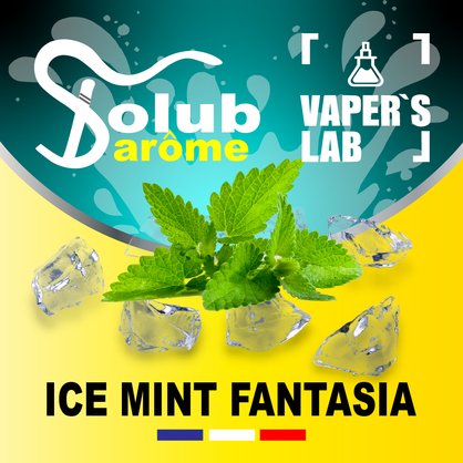 Фото, Відеоогляди на Ароматизатори для рідини вейпів Solub Arome "Ice mint fantasia" (М'ята ментол та кулер) 